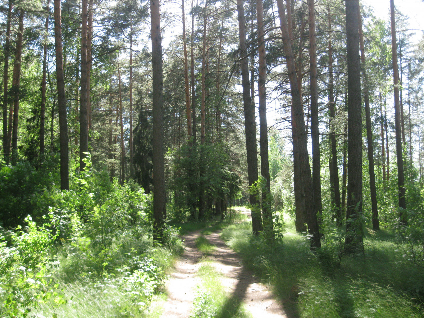 IMG 5425.JPG