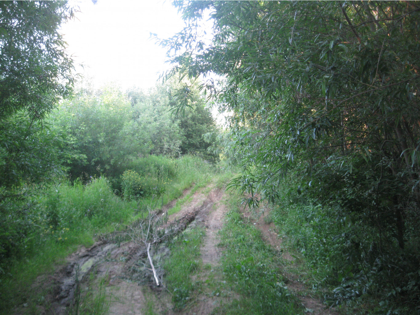 IMG 5506.JPG