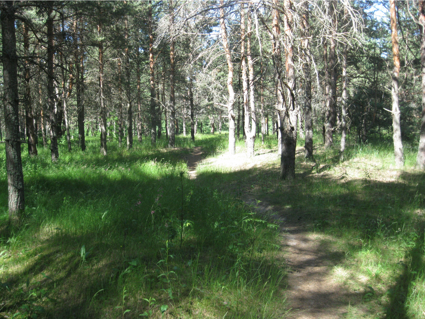IMG 5415.JPG