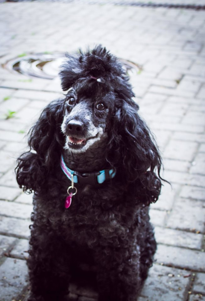 75356947 2476879589260505 6481792101402017792 n.jpg