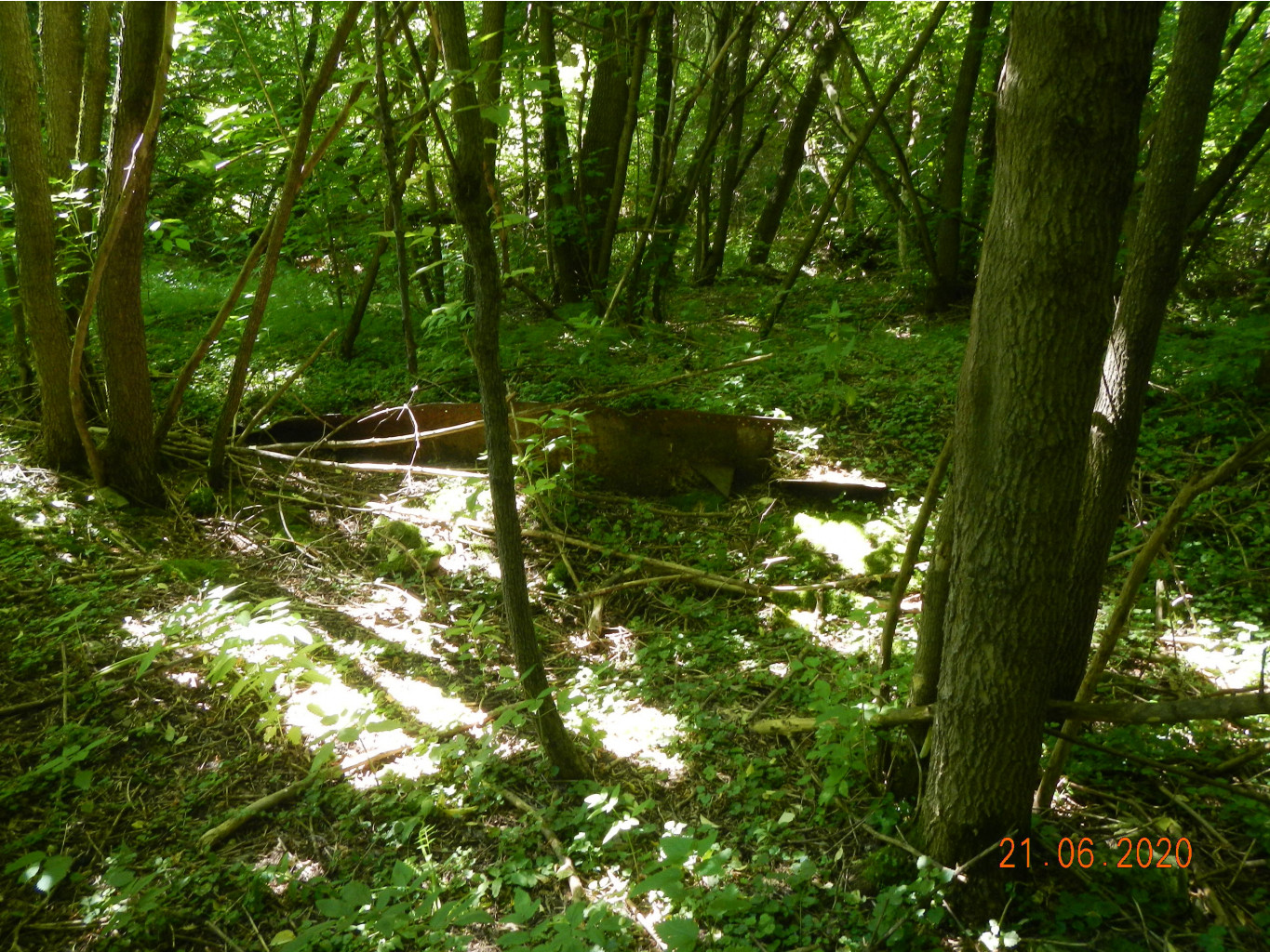 DSCN3786.JPG