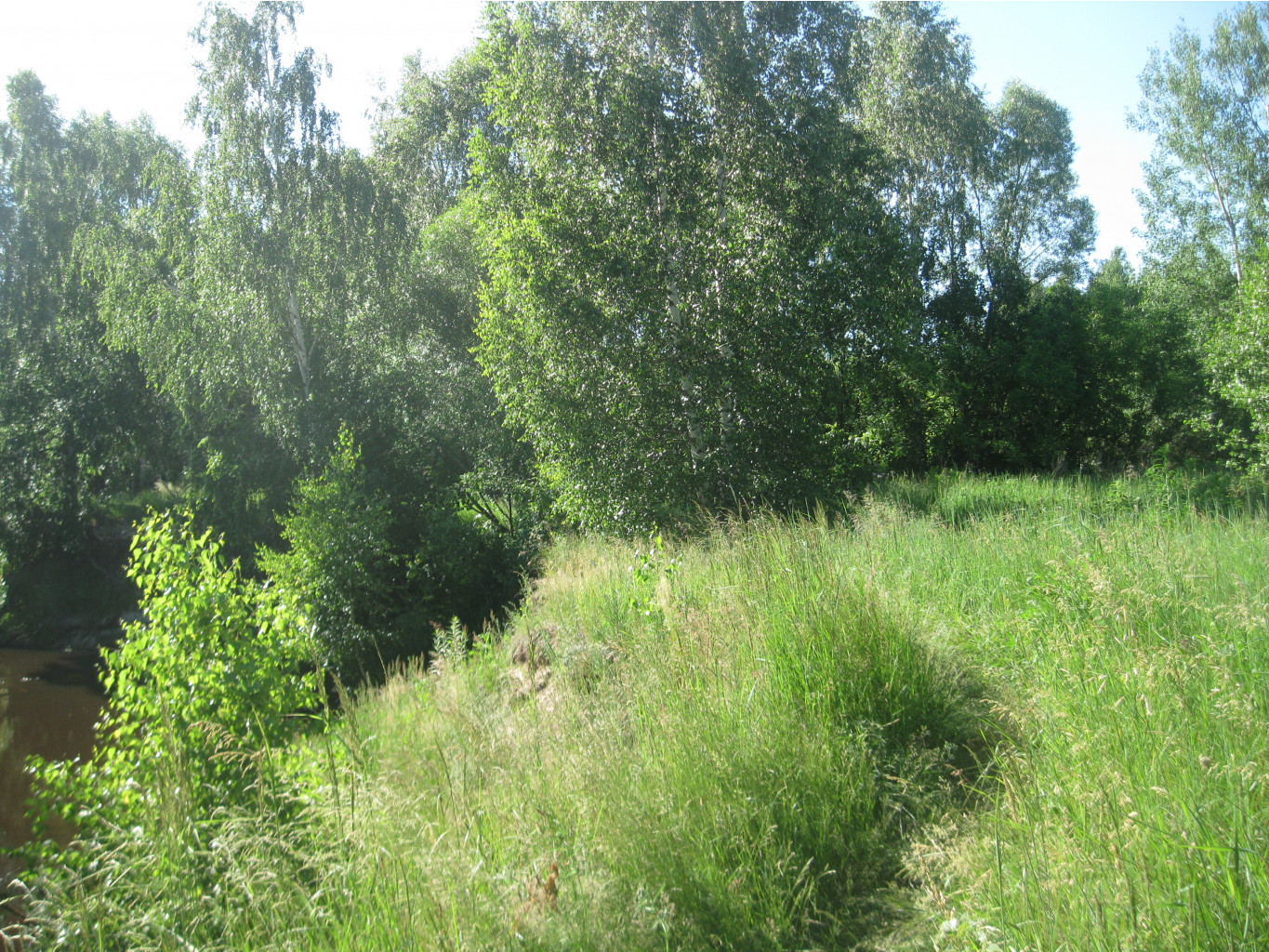 IMG 5439.JPG