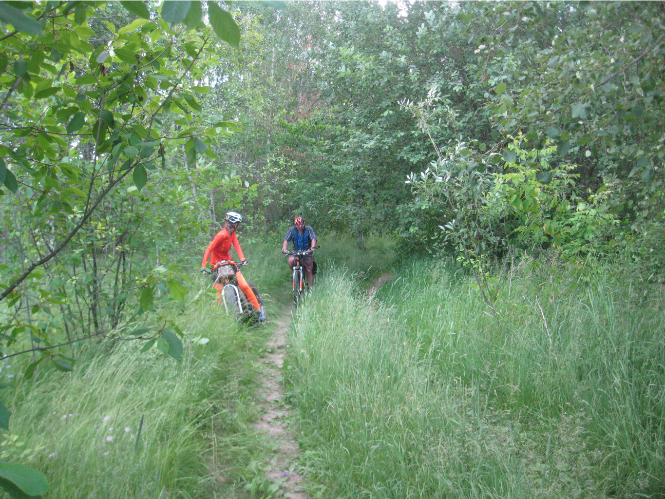 IMG 5365.JPG