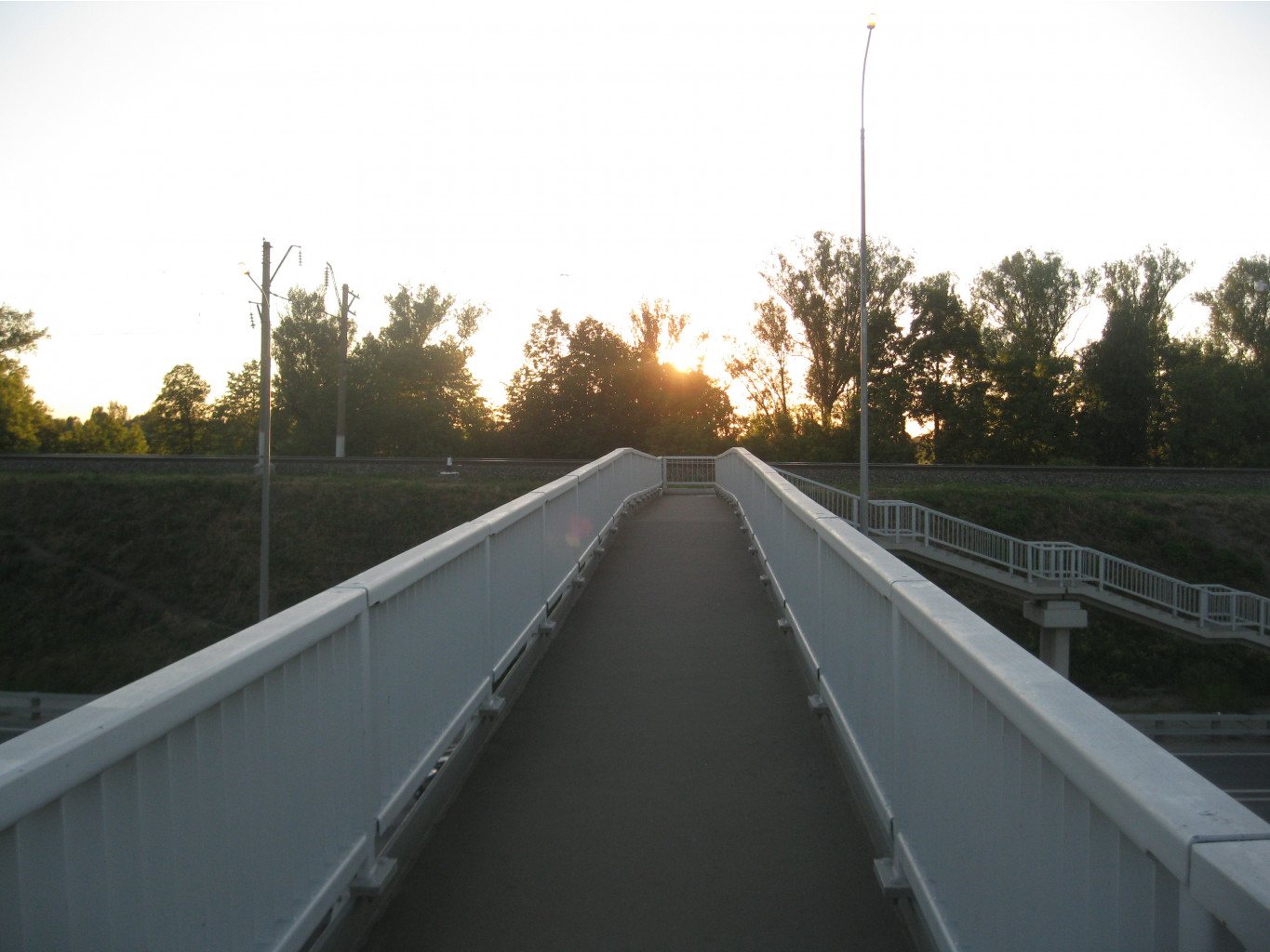 IMG 5521.JPG