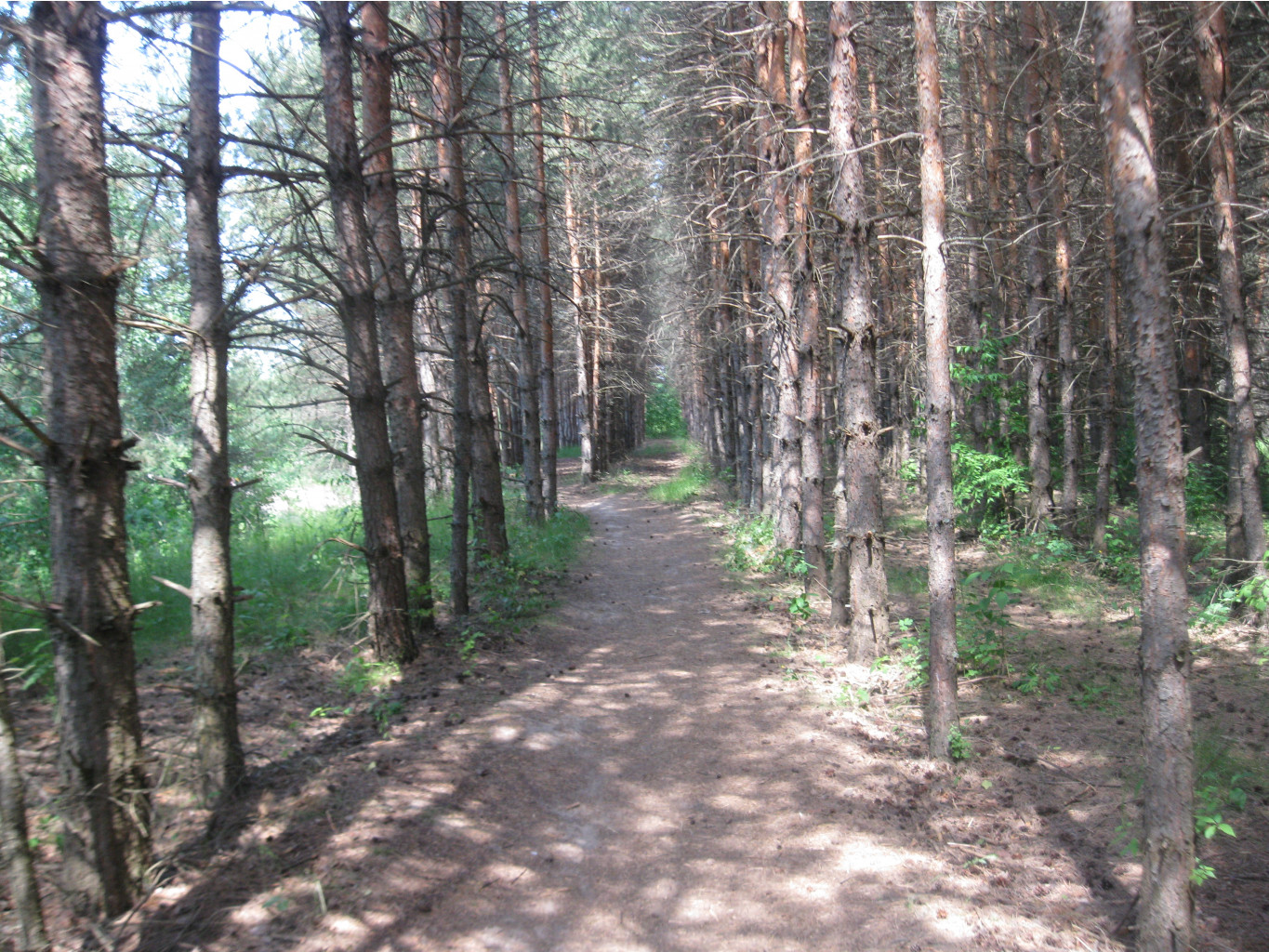 IMG 5398.JPG