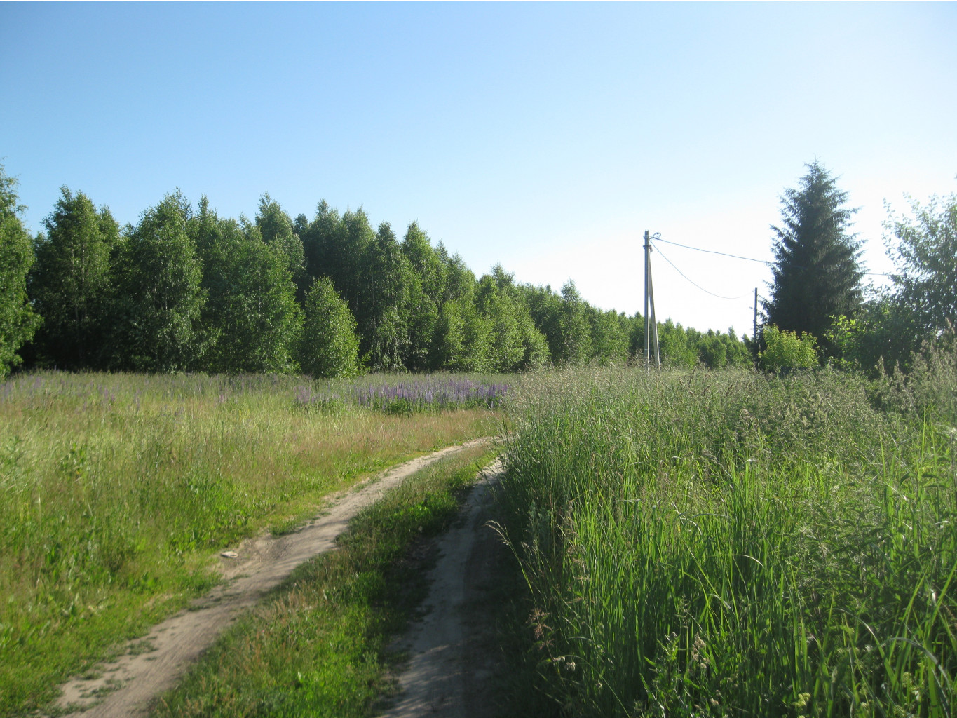 IMG 5455.JPG