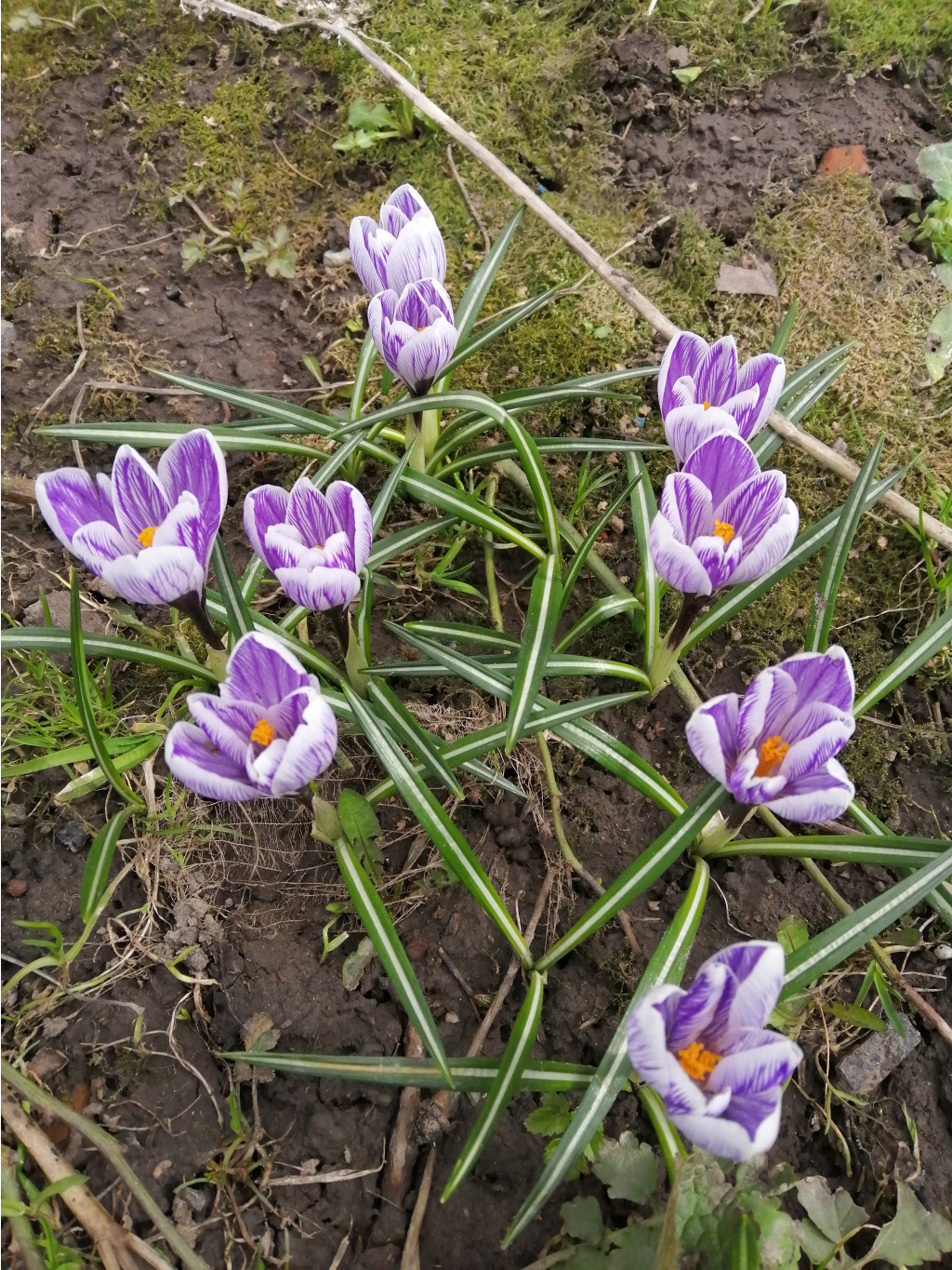 IMG 20190416 142211.jpg