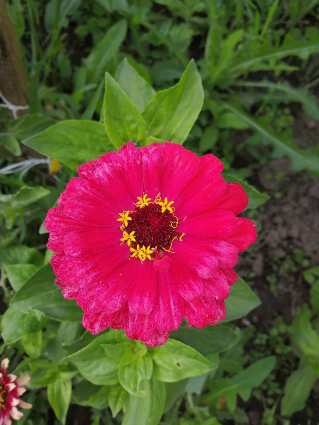 IMG 20190722 172634.jpg