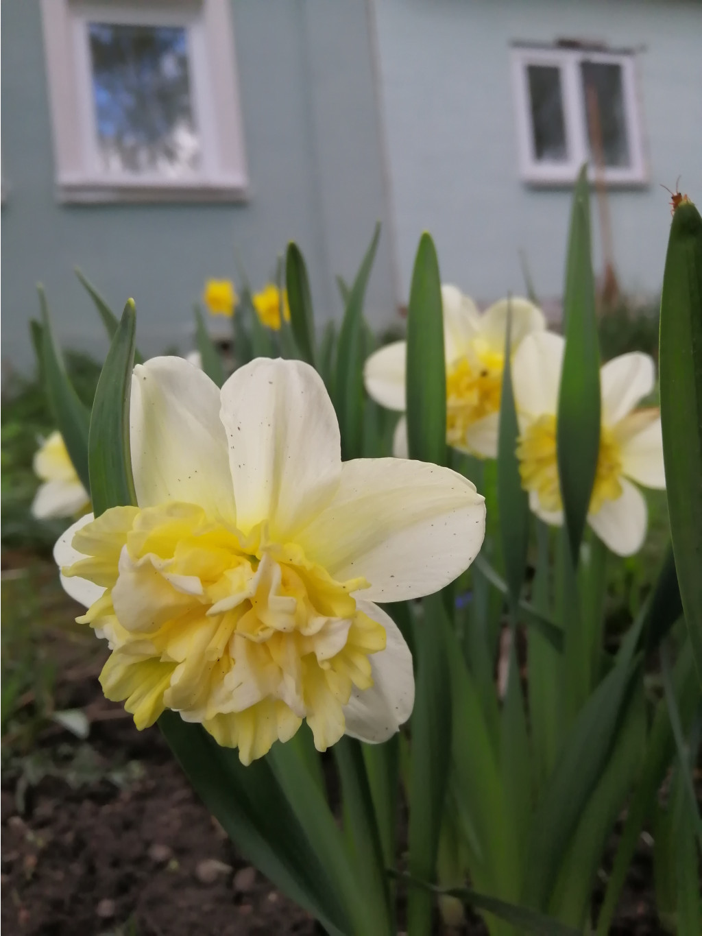 IMG 20190503 135823.jpg
