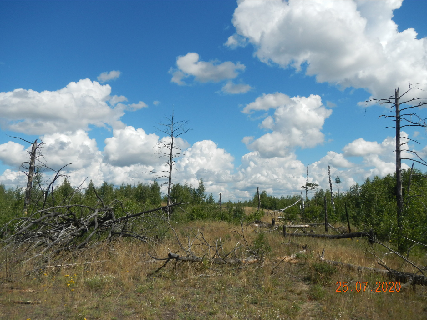 DSCN4405.JPG