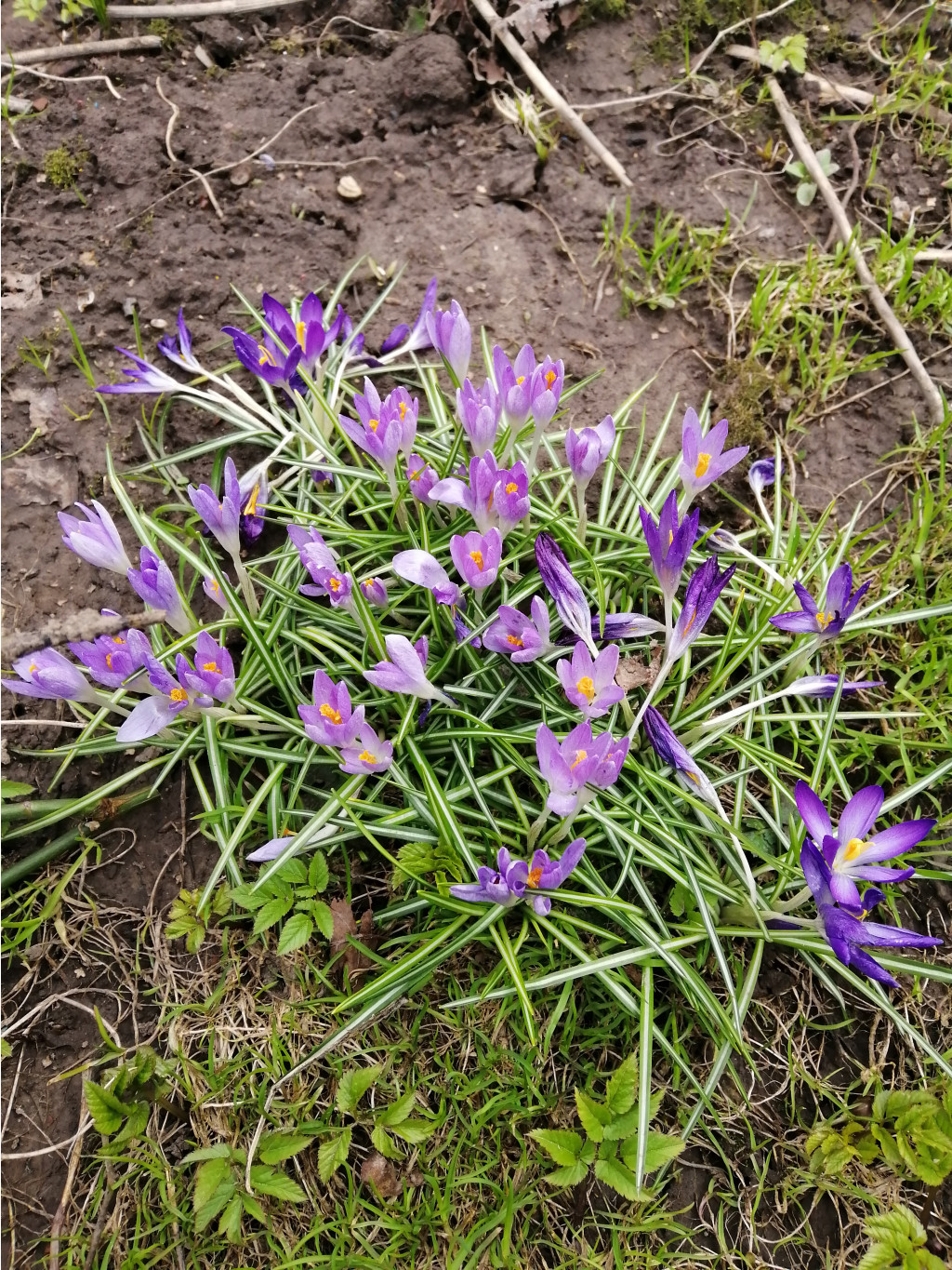 IMG 20190416 142157.jpg