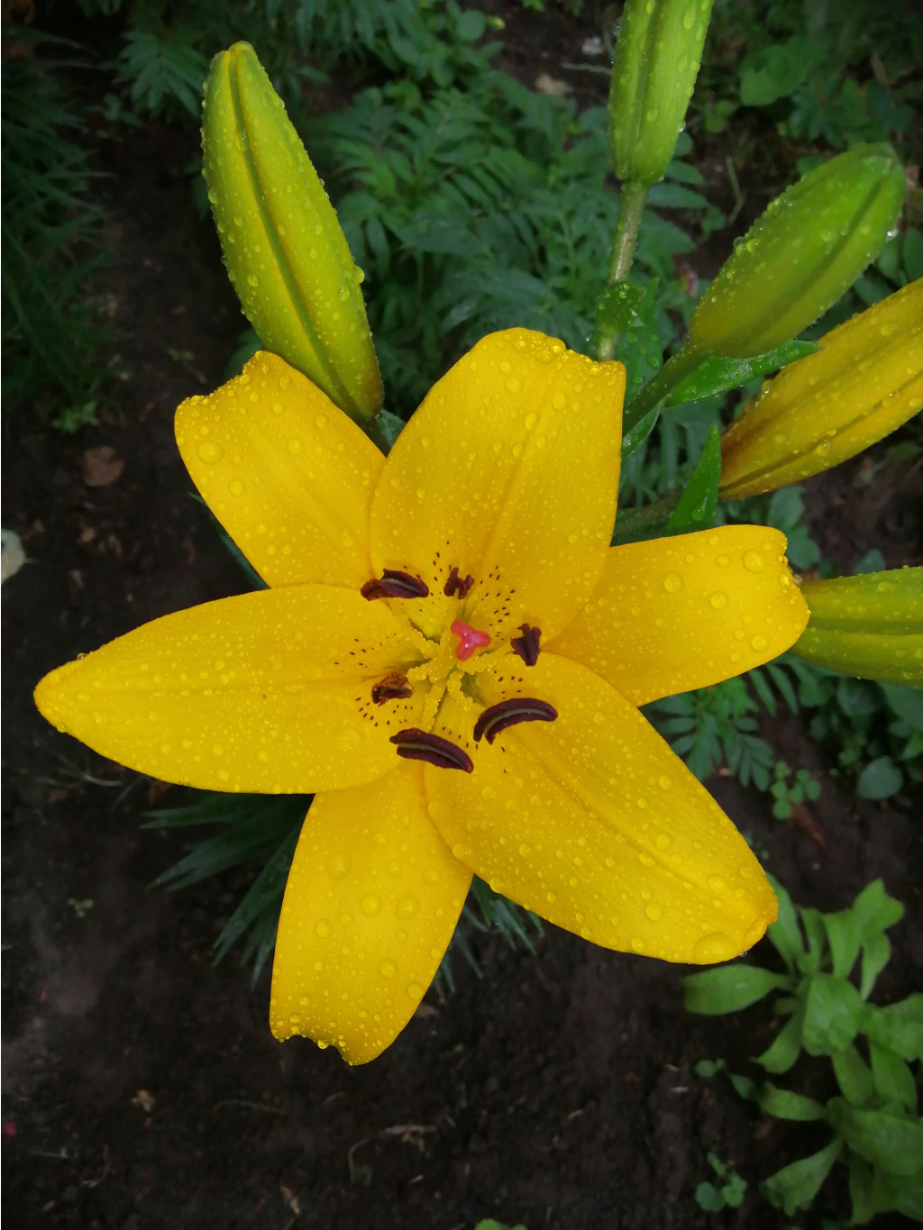 IMG 20190623 084801.jpg
