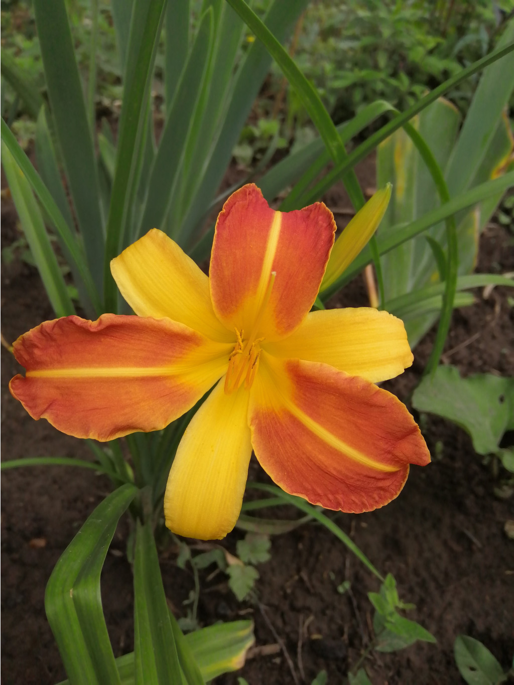 IMG 20190713 131849.jpg