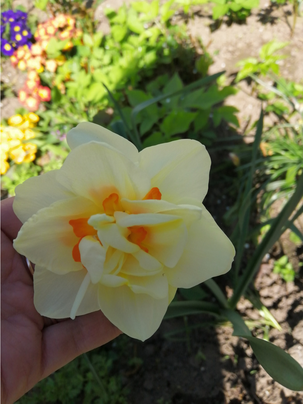 IMG 20190510 093914.jpg