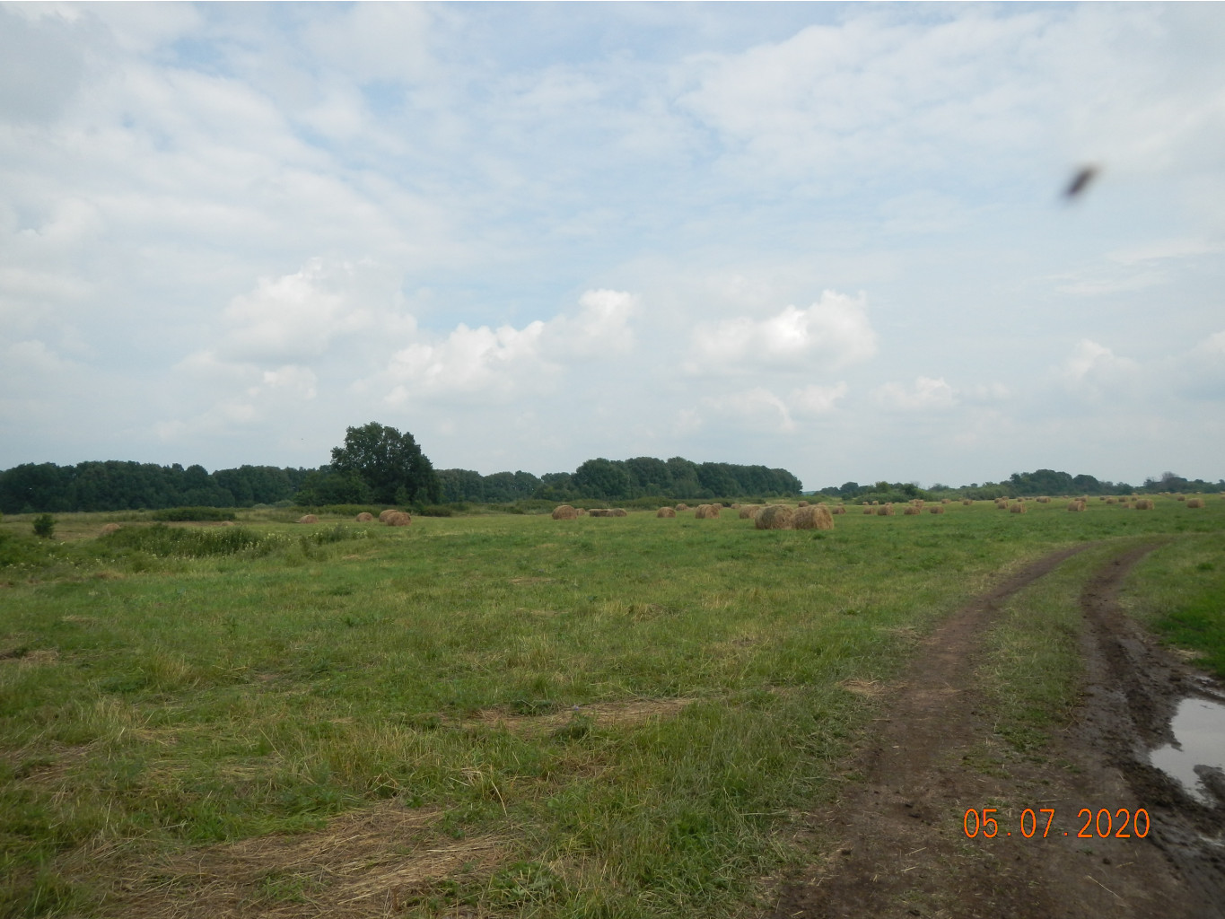 DSCN4108.JPG