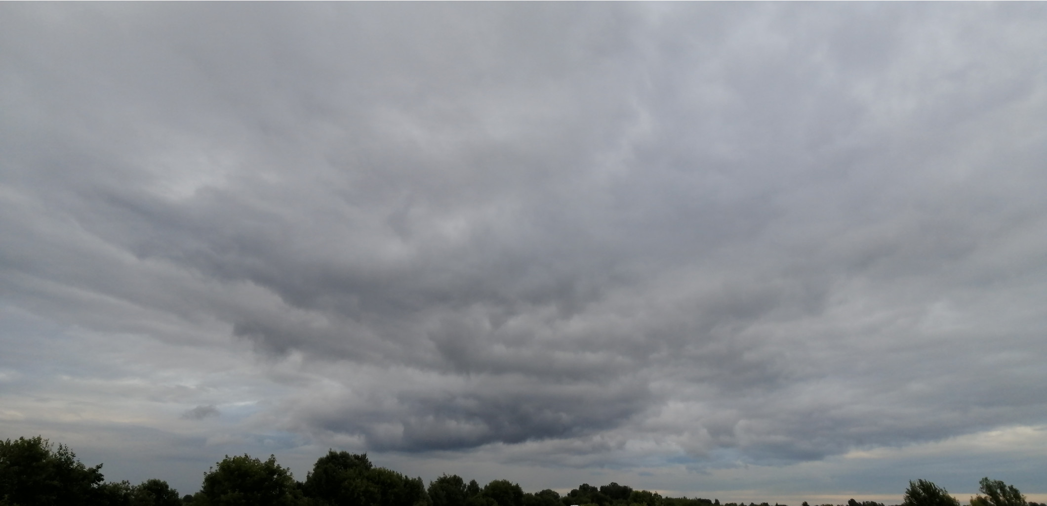 IMG 20200716 190913.jpg
