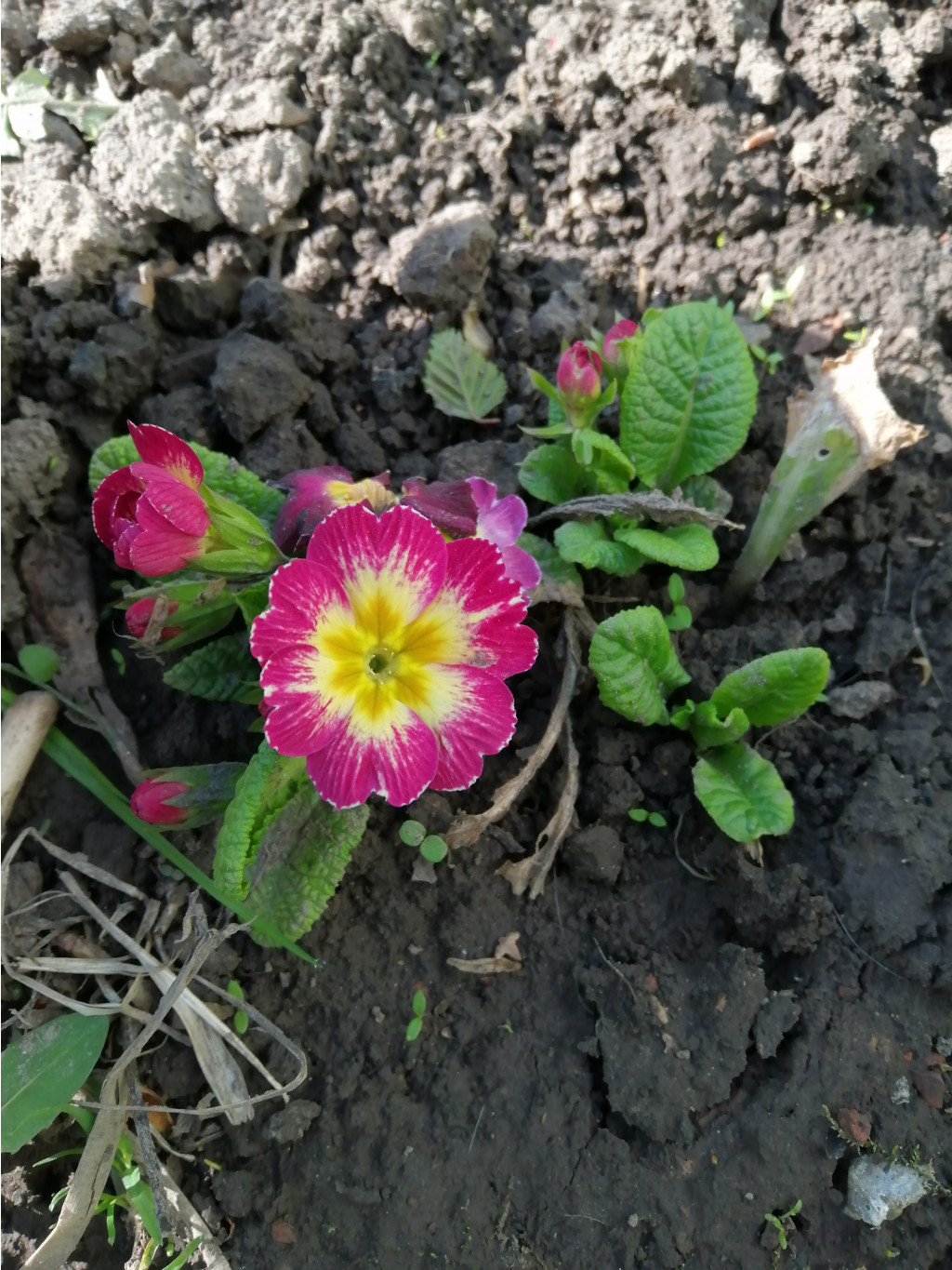 IMG 20190506 075614.jpg