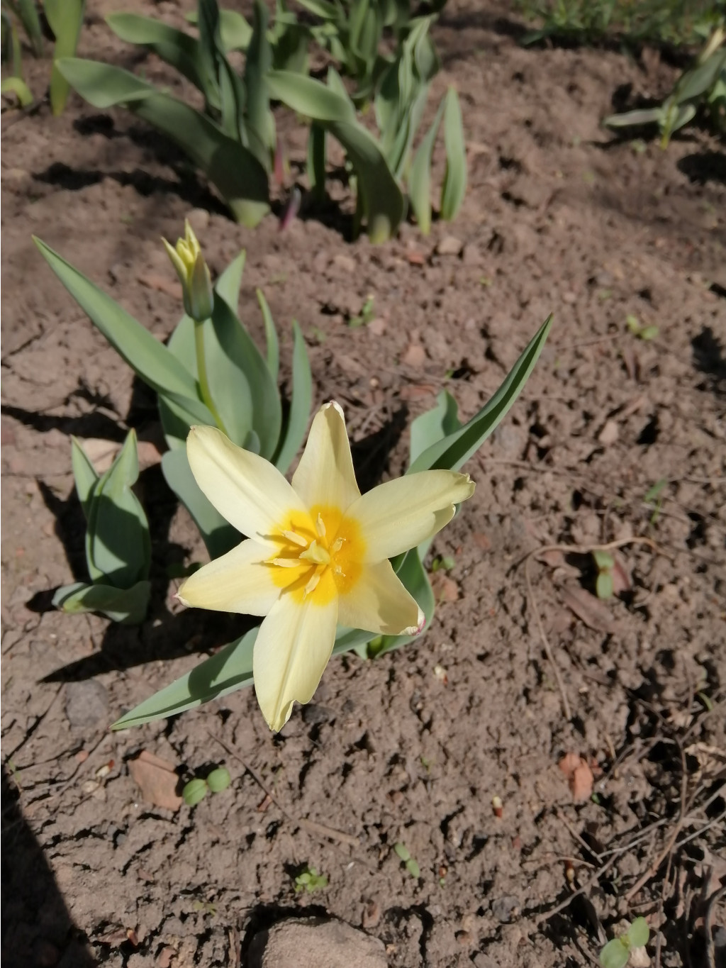 IMG 20190425 095452.jpg