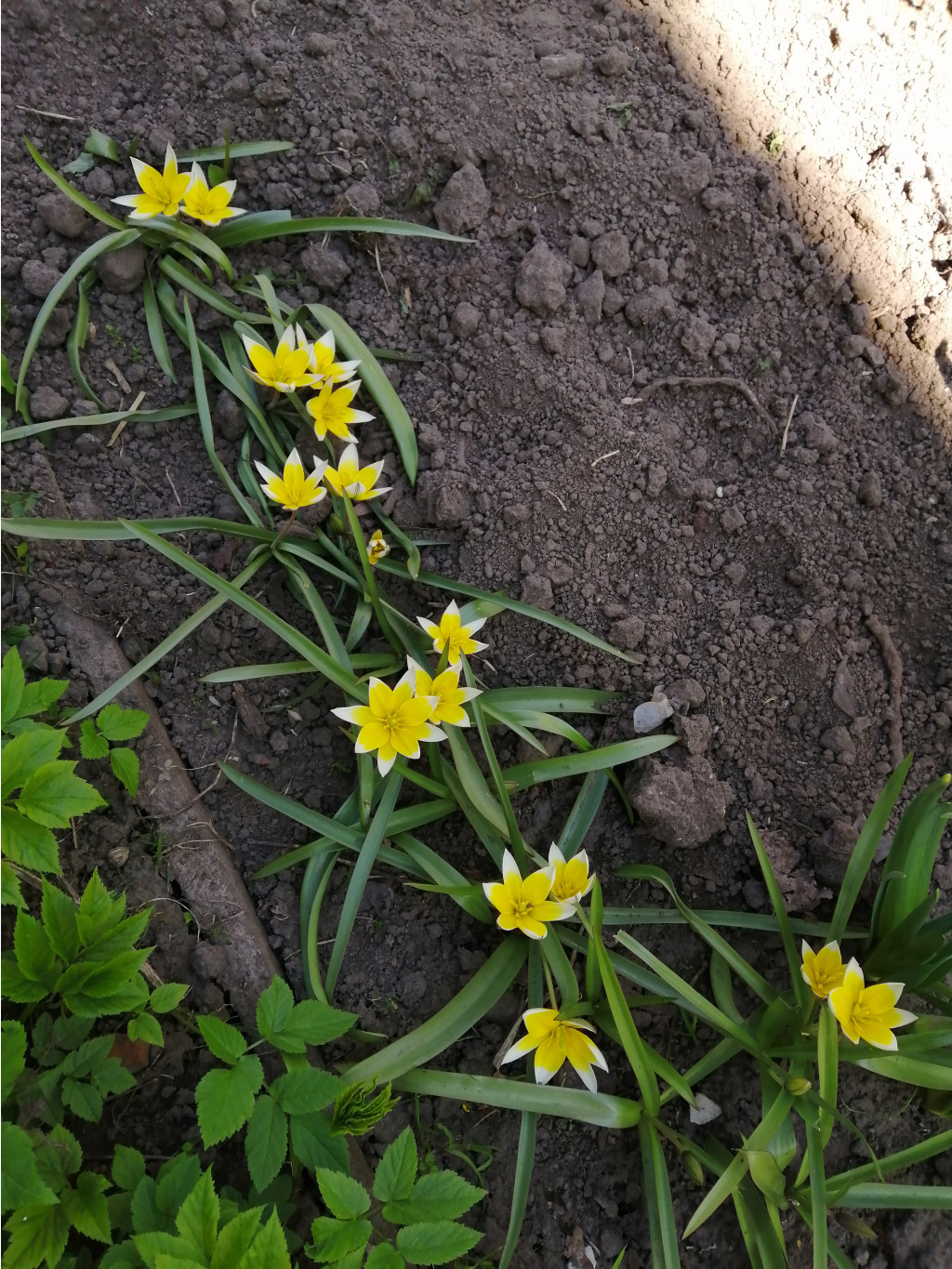 IMG 20190501 131144.jpg