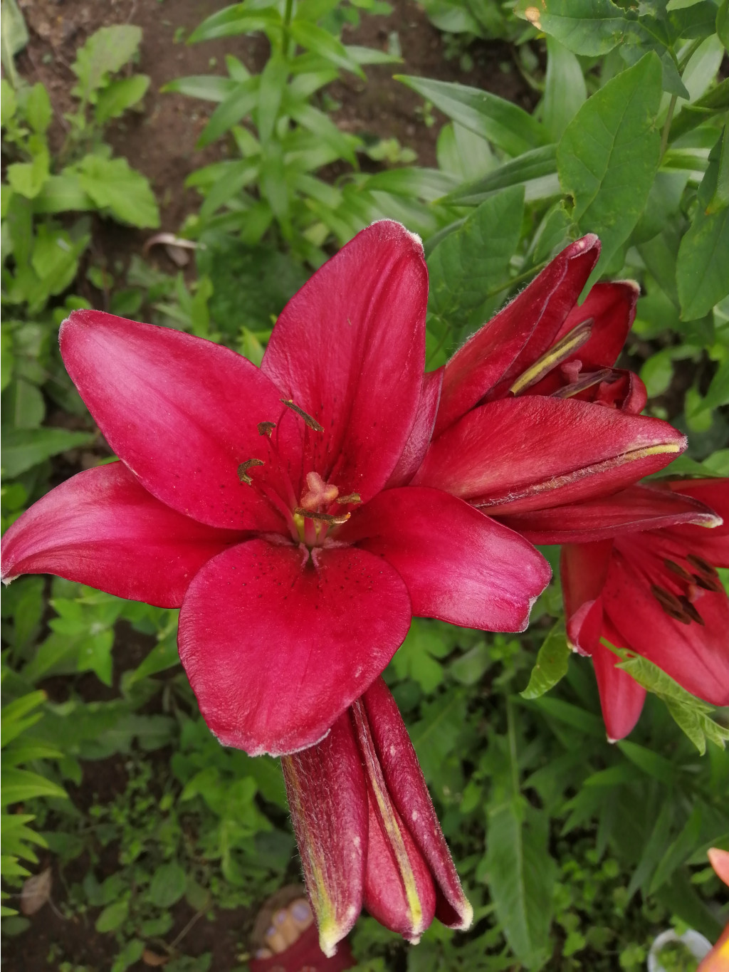 IMG 20190706 083703.jpg