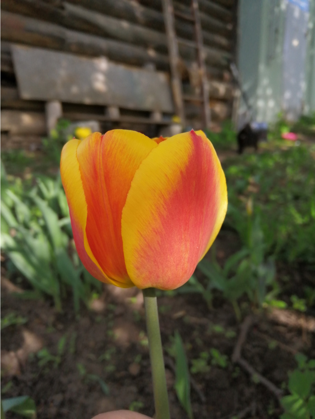 IMG 20190507 081106.jpg