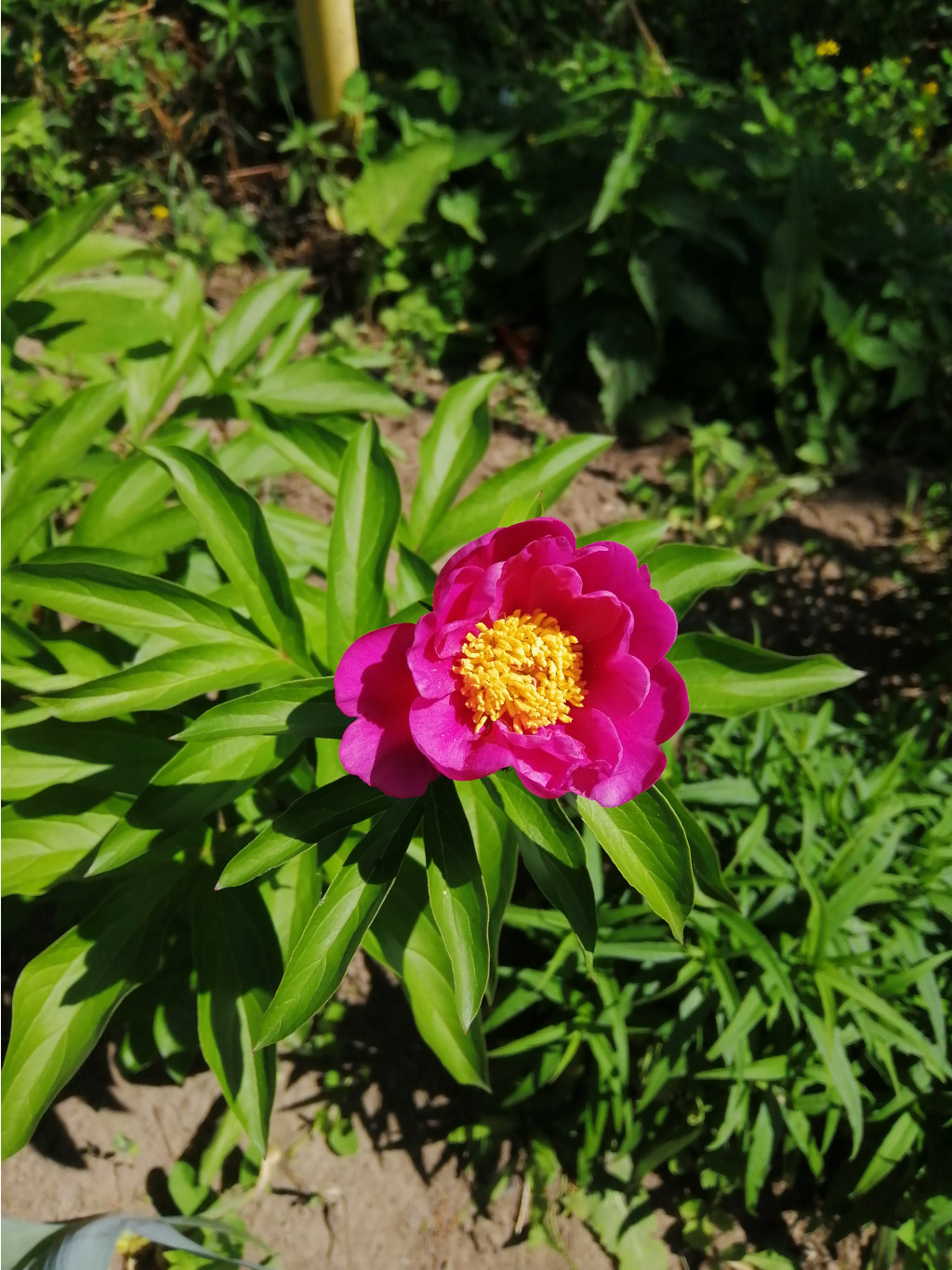 IMG 20190607 113840.jpg
