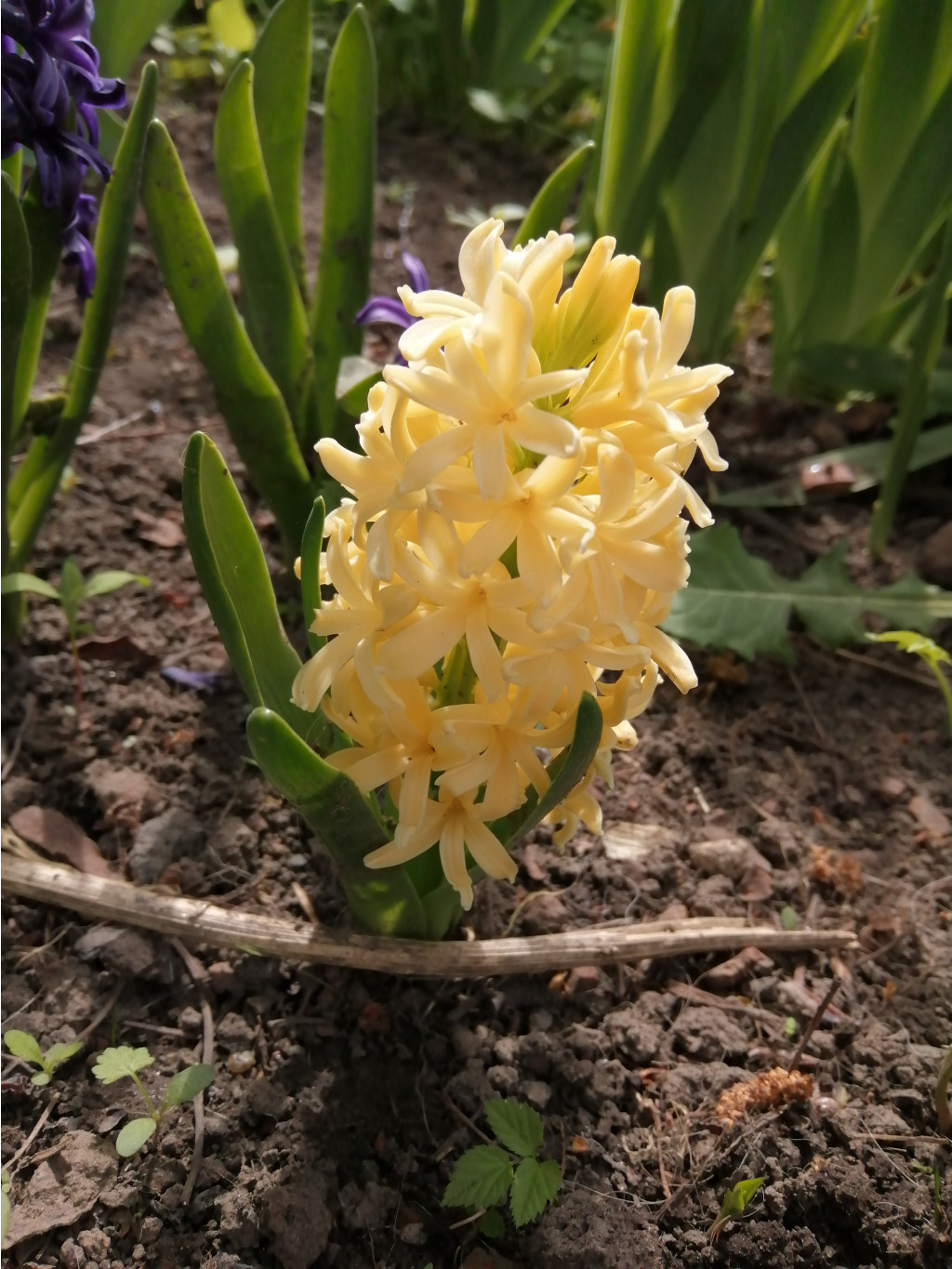 IMG 20190509 091829.jpg