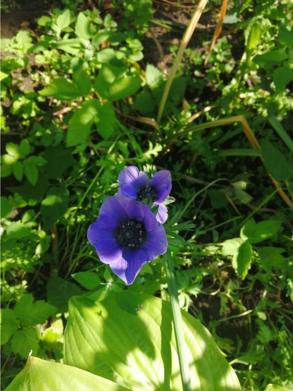 IMG 20190612 083833.jpg