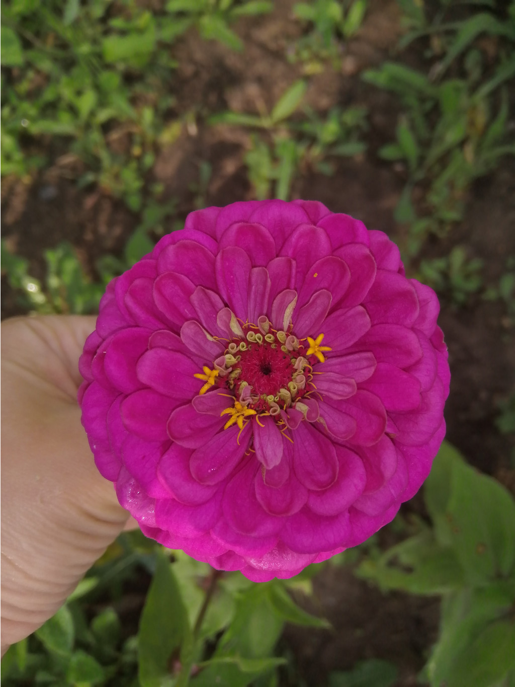 IMG 20190730 080640.jpg