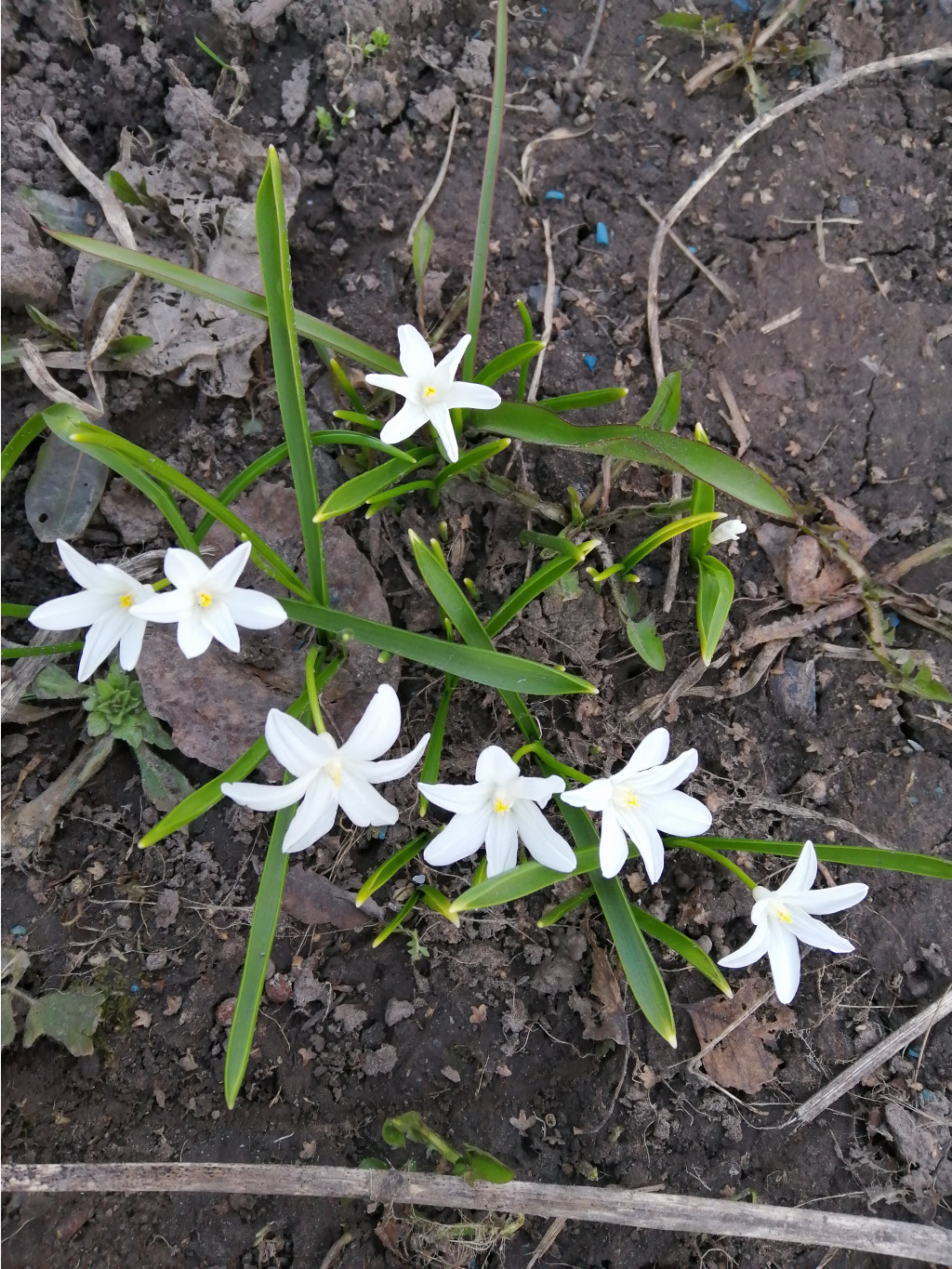 IMG 20190420 182416.jpg