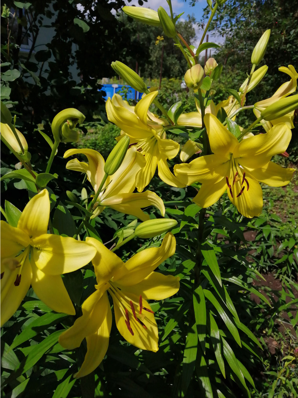 IMG 20190714 122719.jpg
