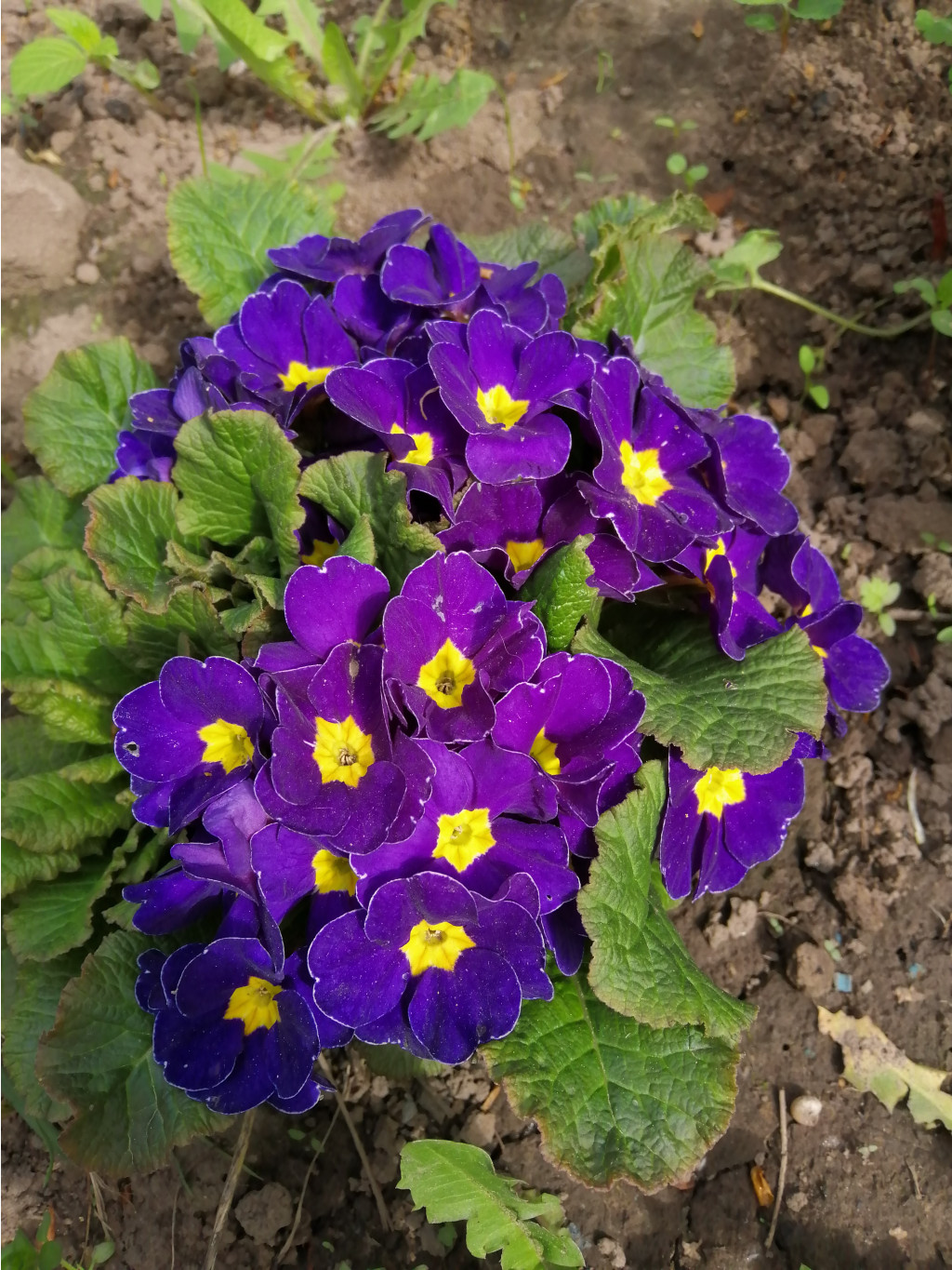 IMG 20190509 091544.jpg