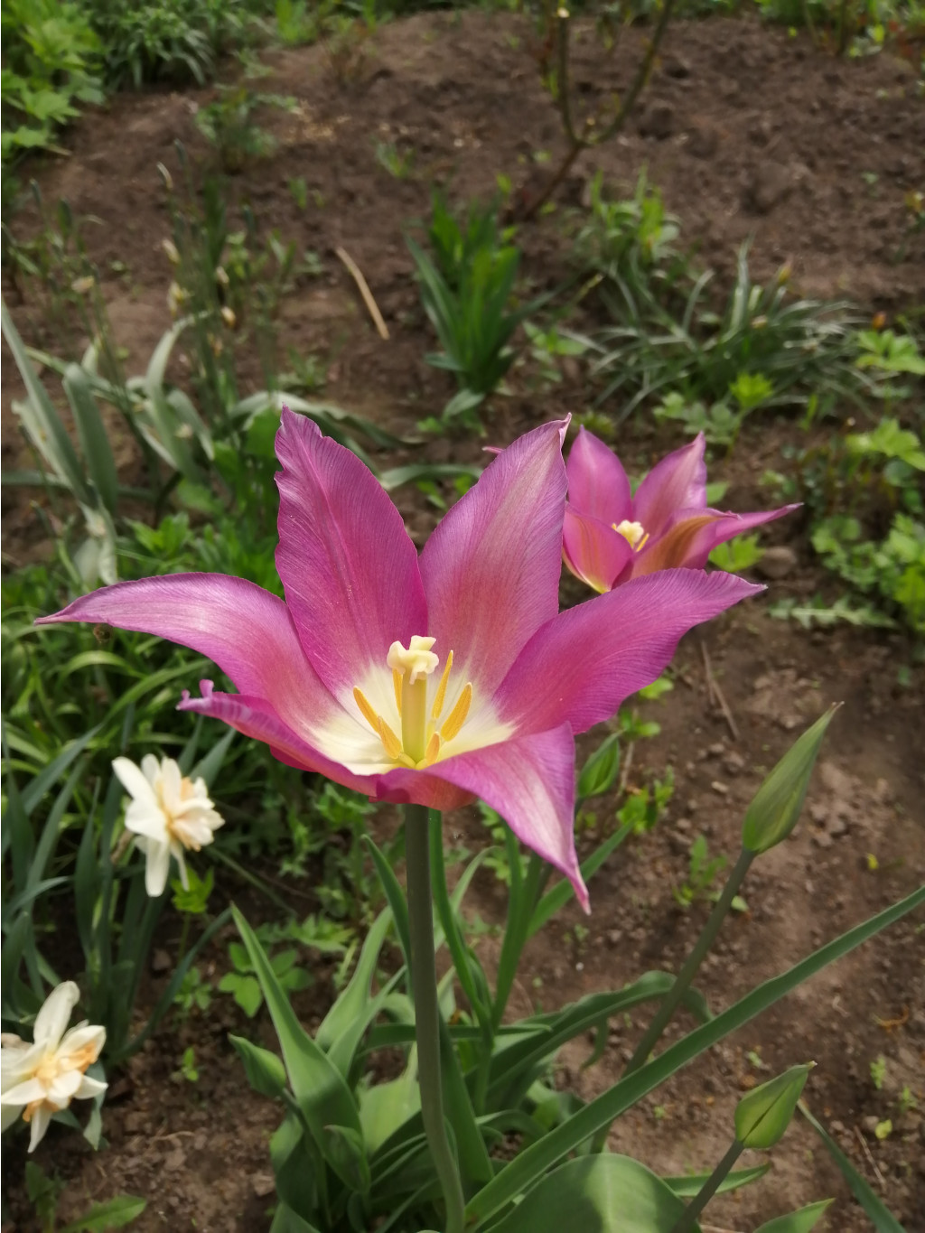 IMG 20190509 091644.jpg