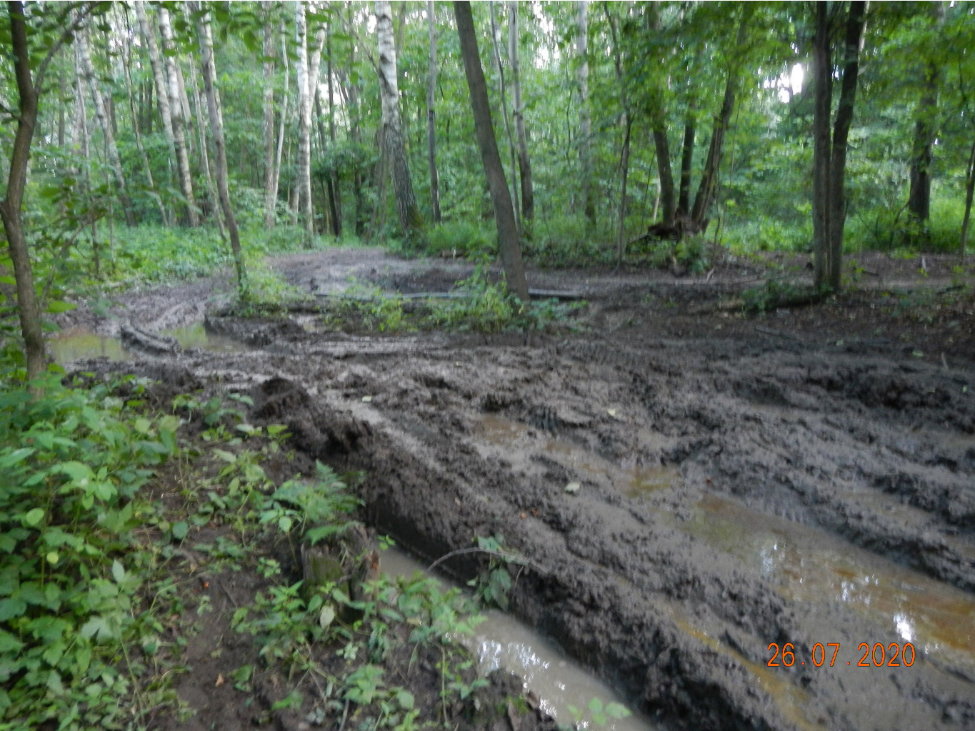 DSCN4489.JPG