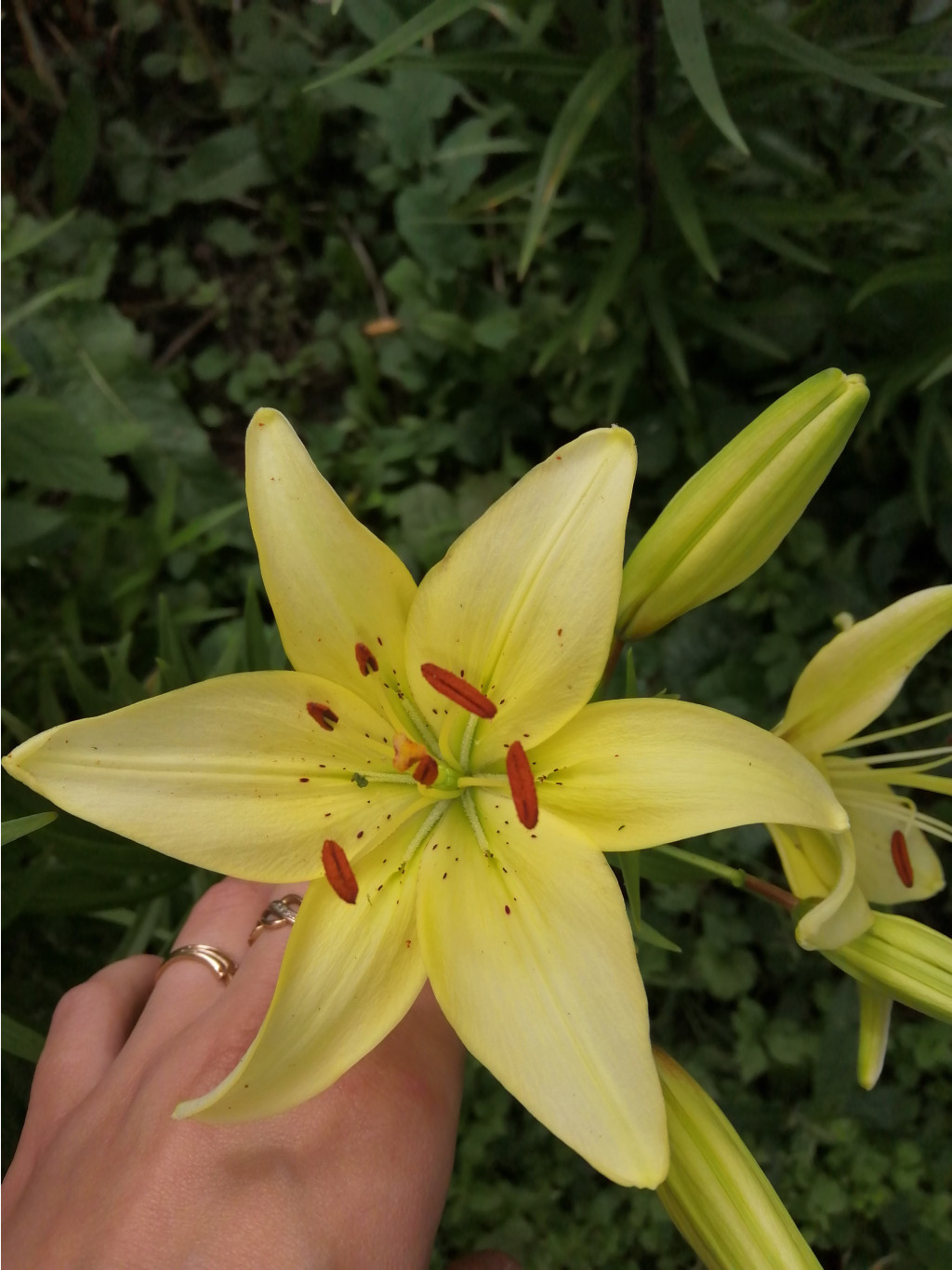 IMG 20190706 085055.jpg