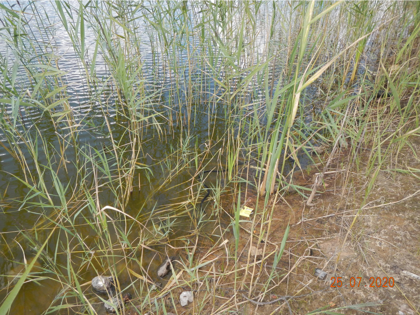 DSCN4418.JPG