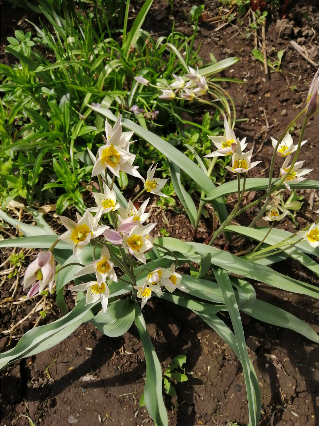 IMG 20190503 131118.jpg