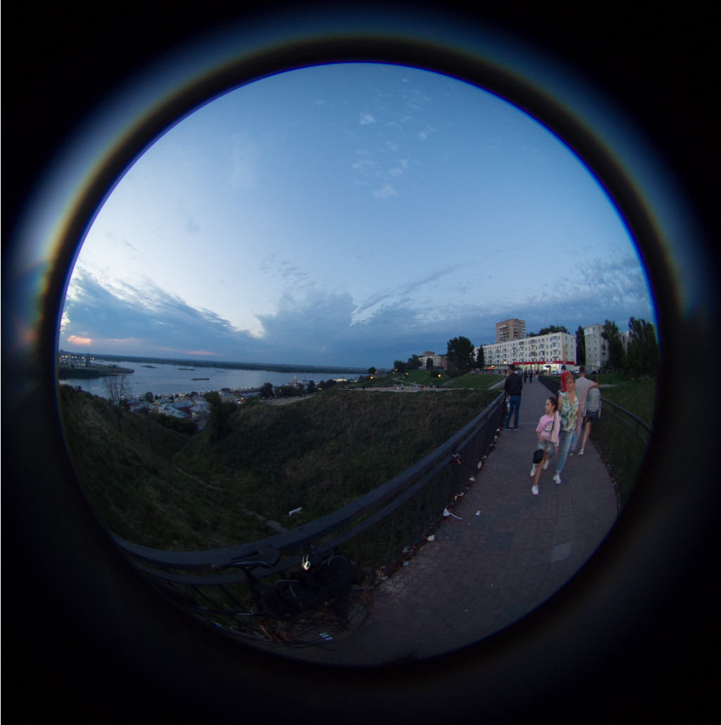  8060157.jpg