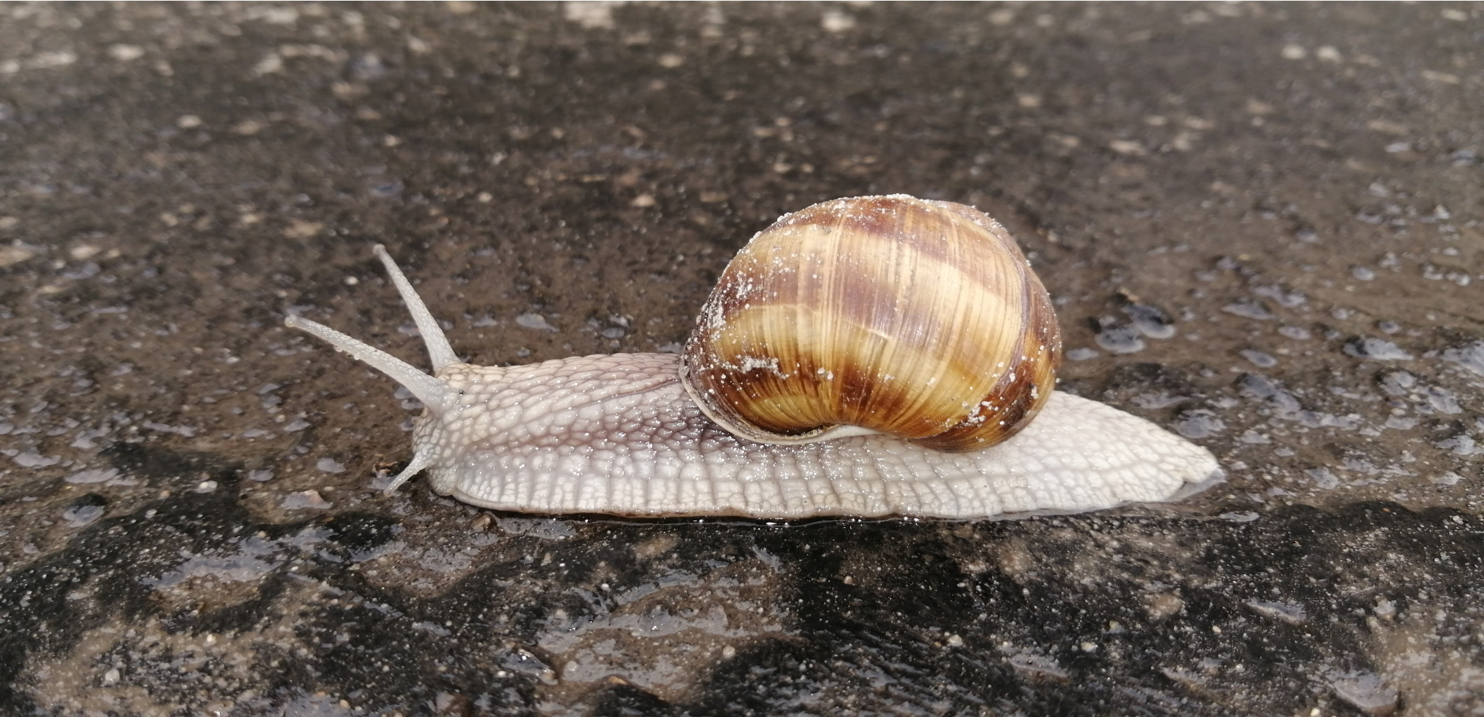 IMG 20200803 064200.jpg