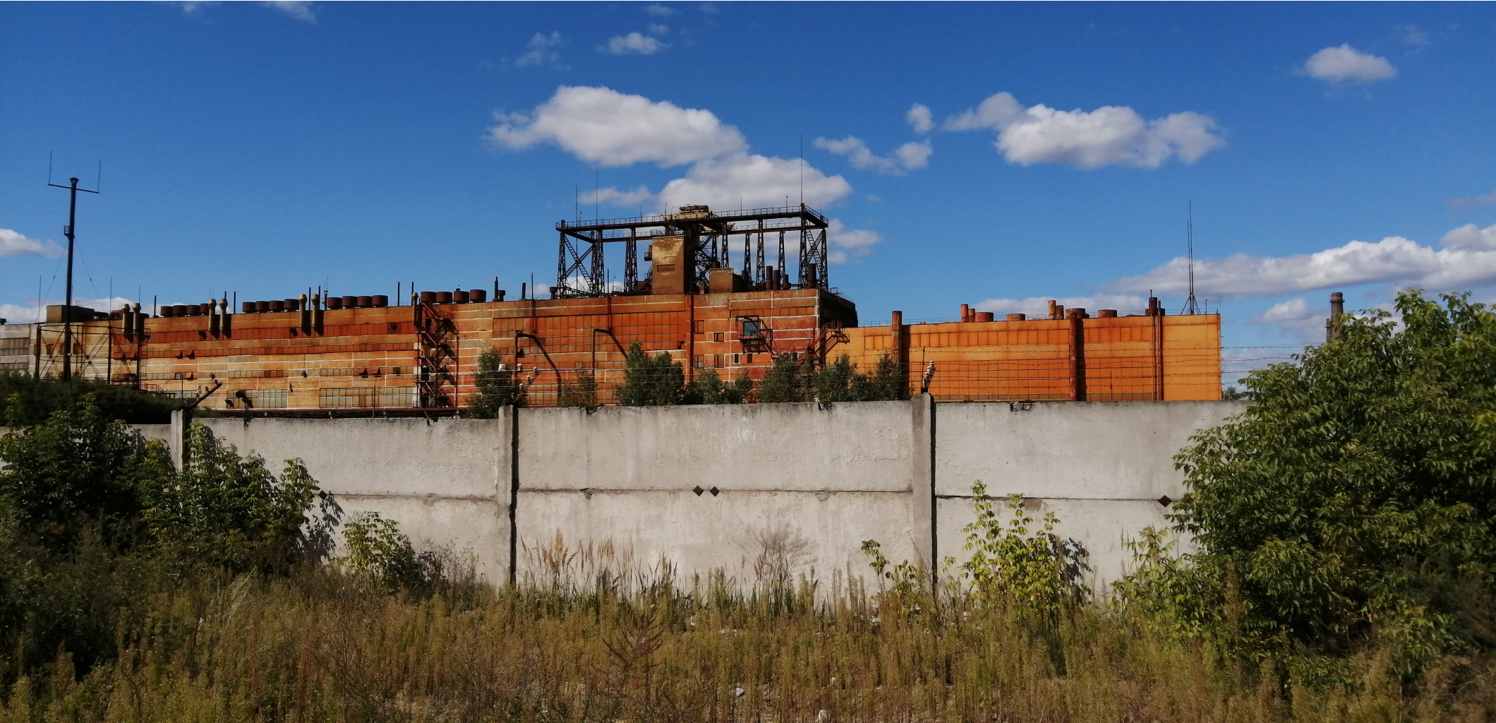 IMG 20200820 135552.jpg