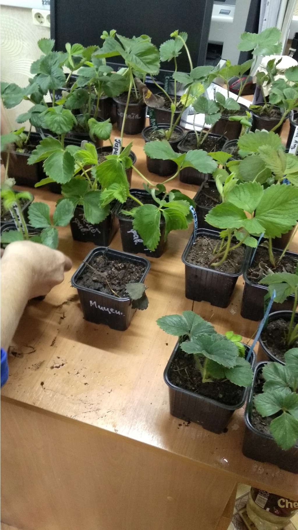 IMG 20200828 151737.jpg