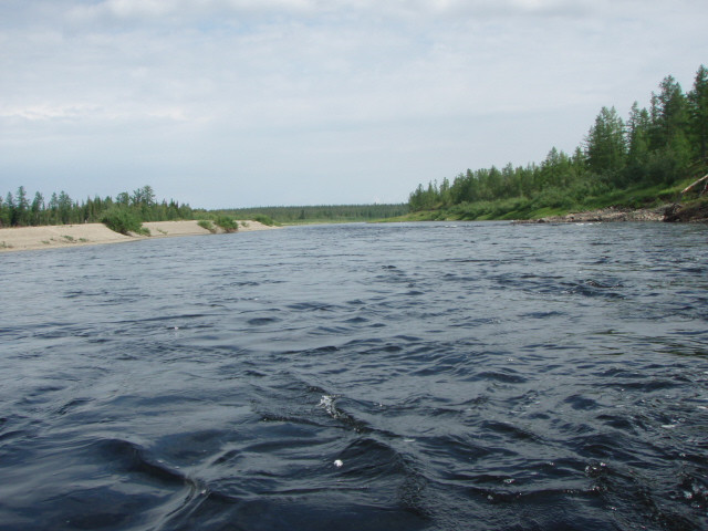 P1010170.JPG