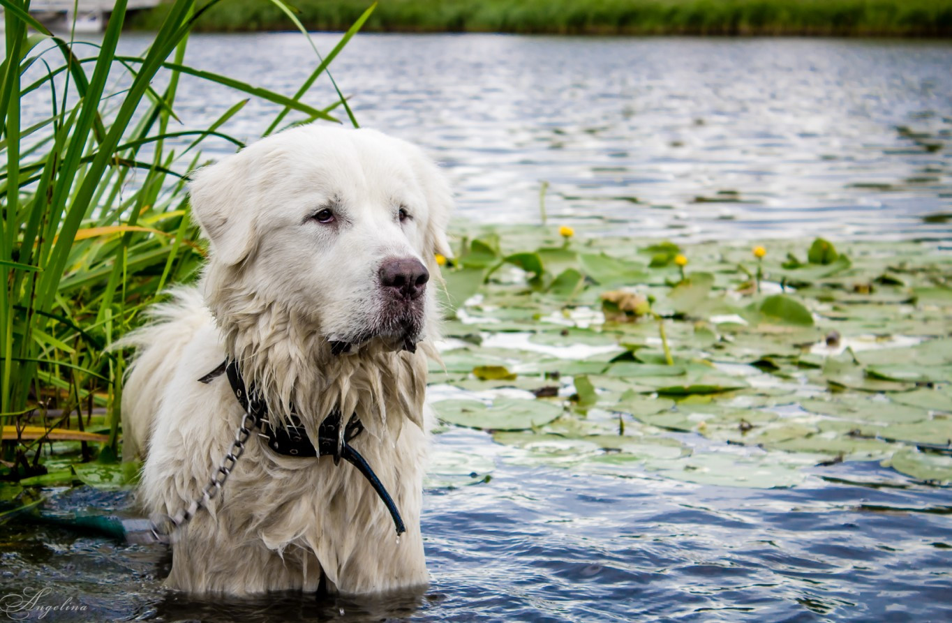 Clip2net 200825014624.jpg