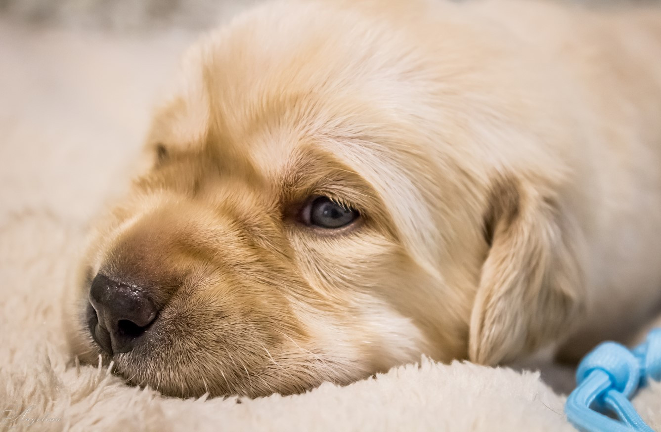 Clip2net 200825015518.jpg