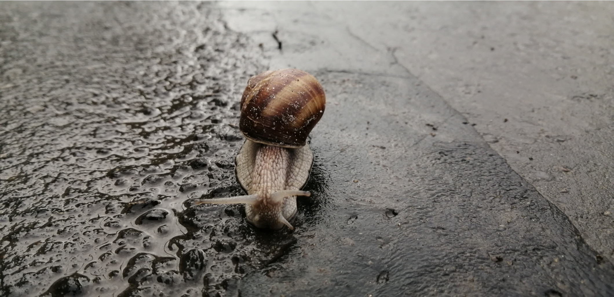 IMG 20200803 064103.jpg