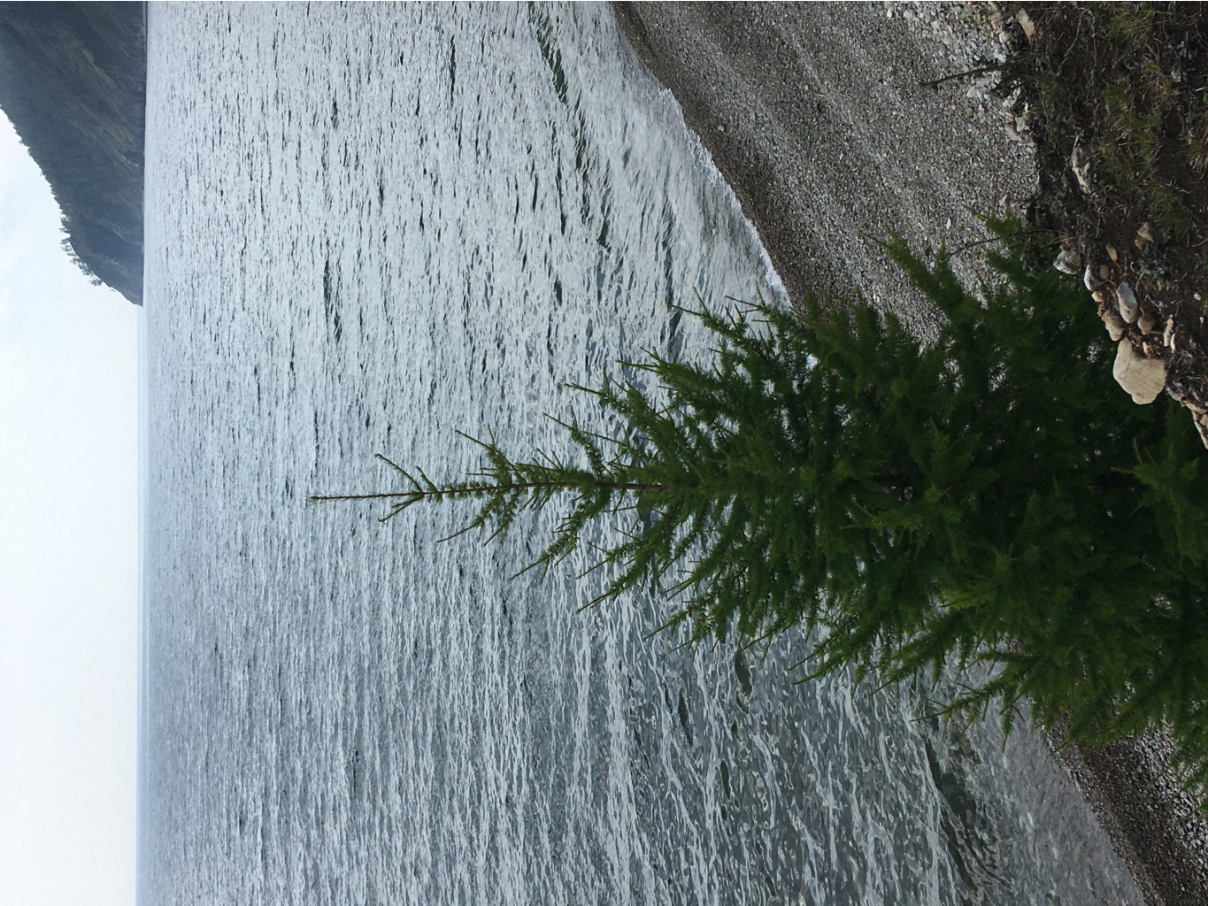 IMG 3608.JPG