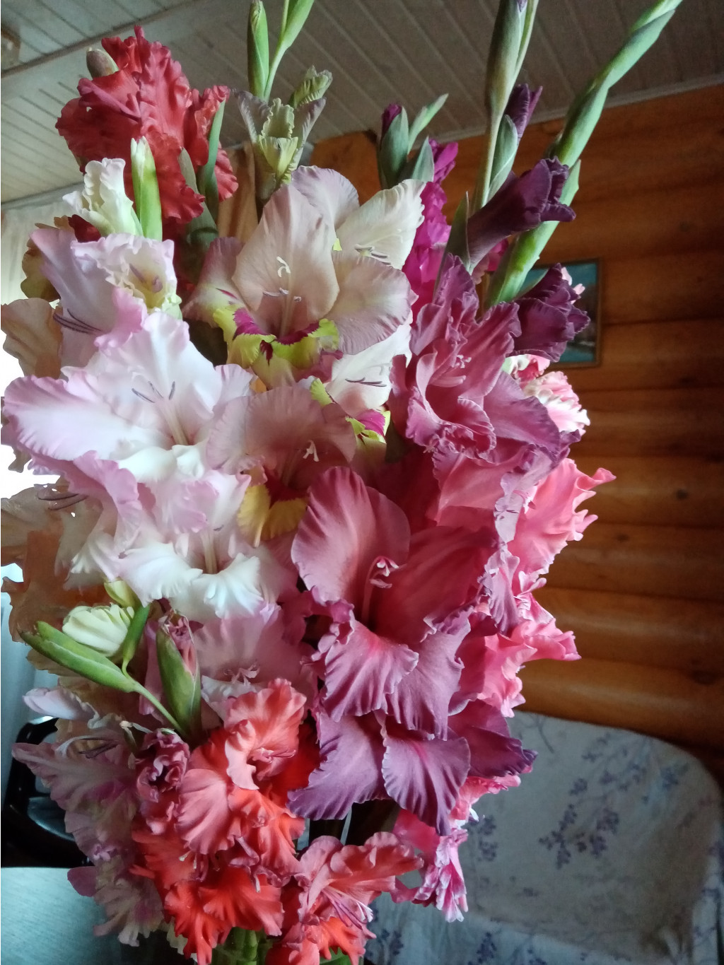 IMG 20200803 173740.jpg