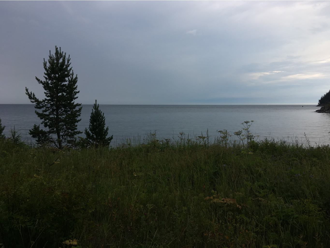 IMG 3525.JPG