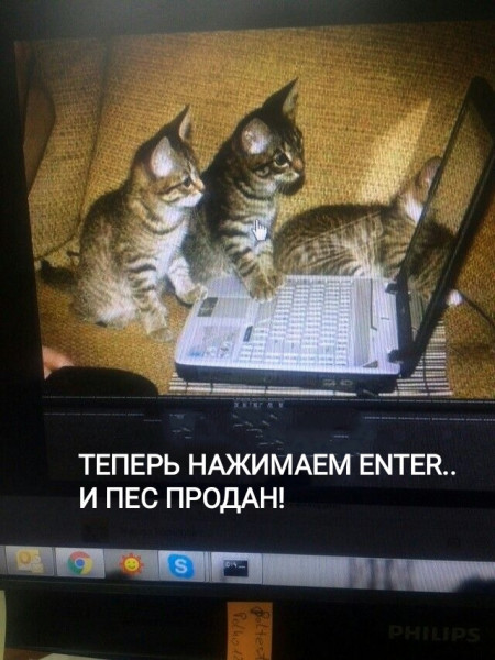   ENTER ..  У !