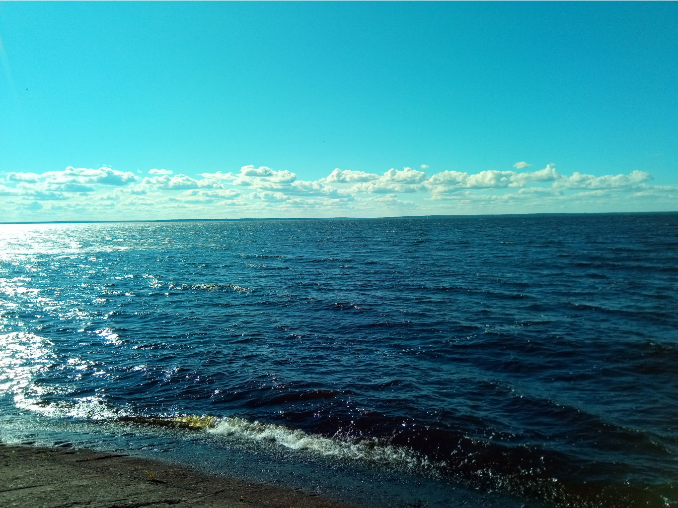 20200822  - 150904.jpg